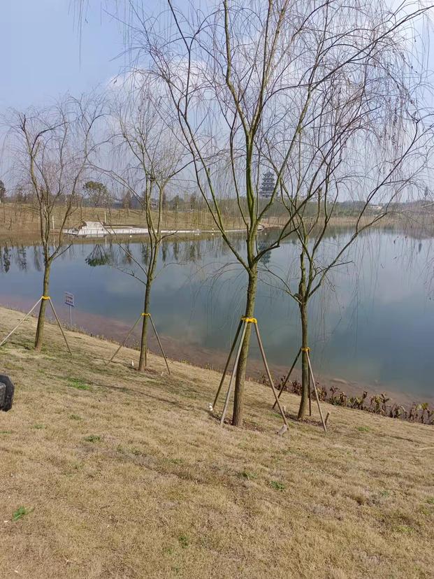 微信图片_20220305224525